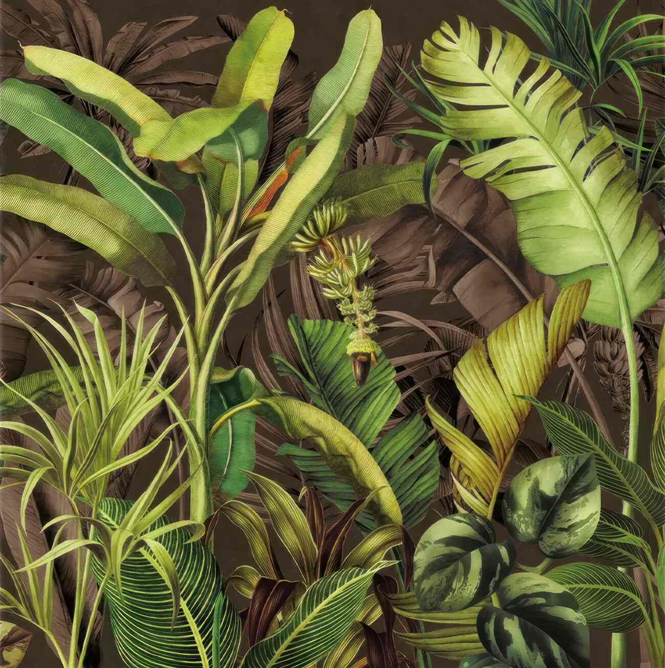Last Product image