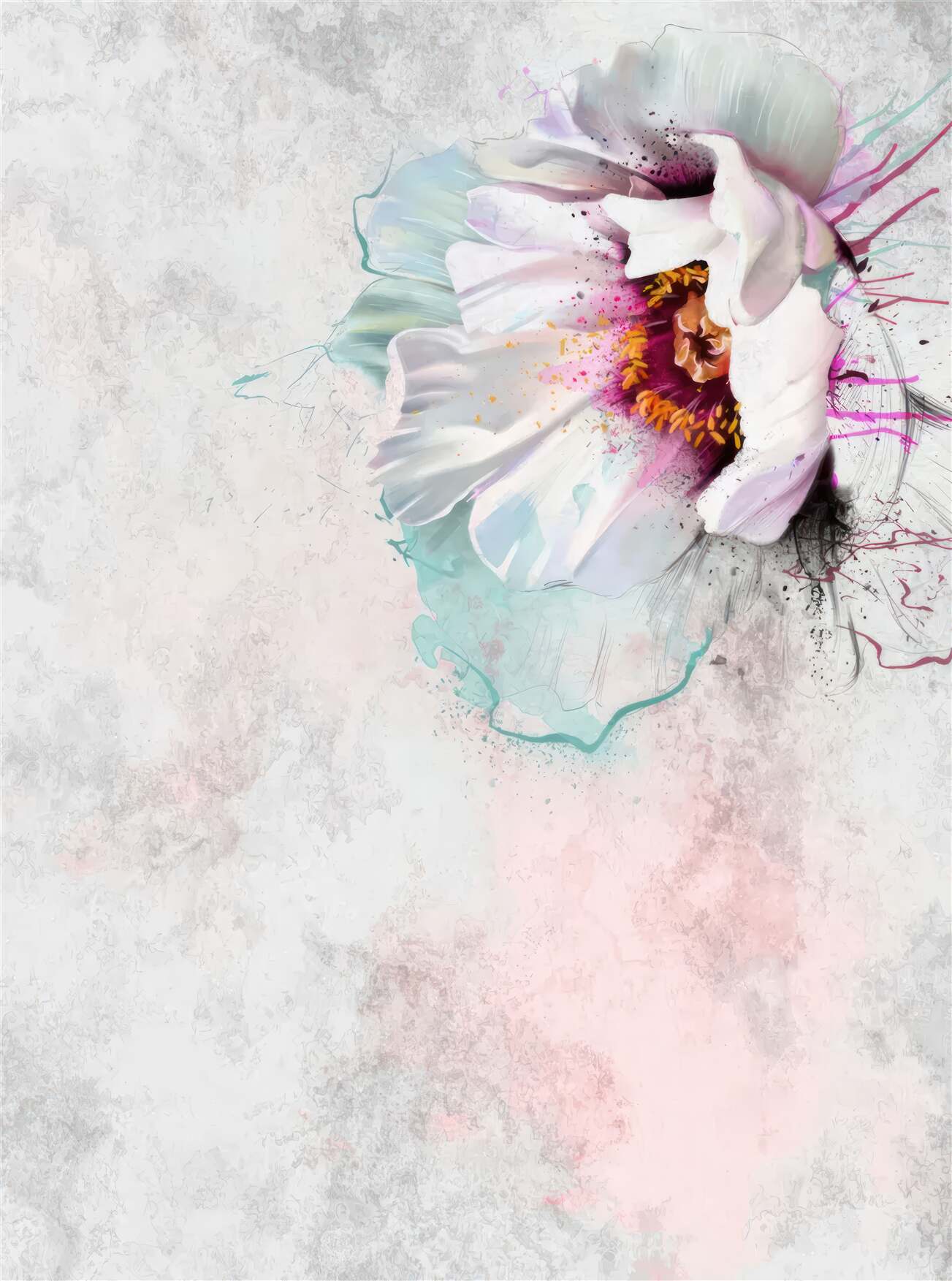 Last Product image