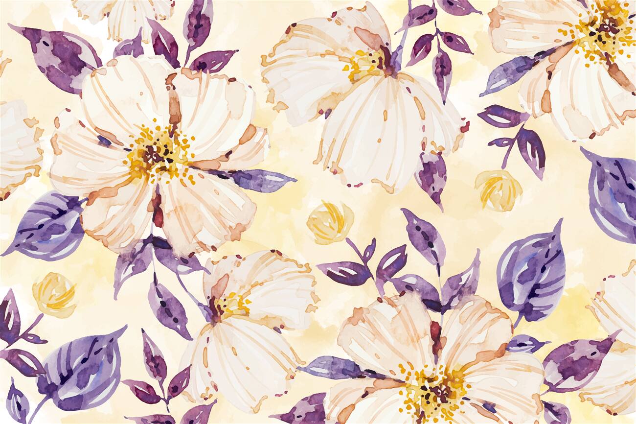 Last Product image