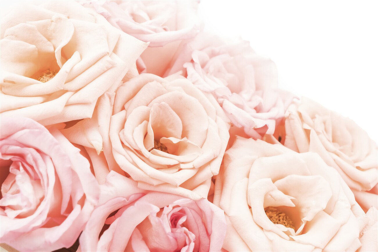 Last Product image