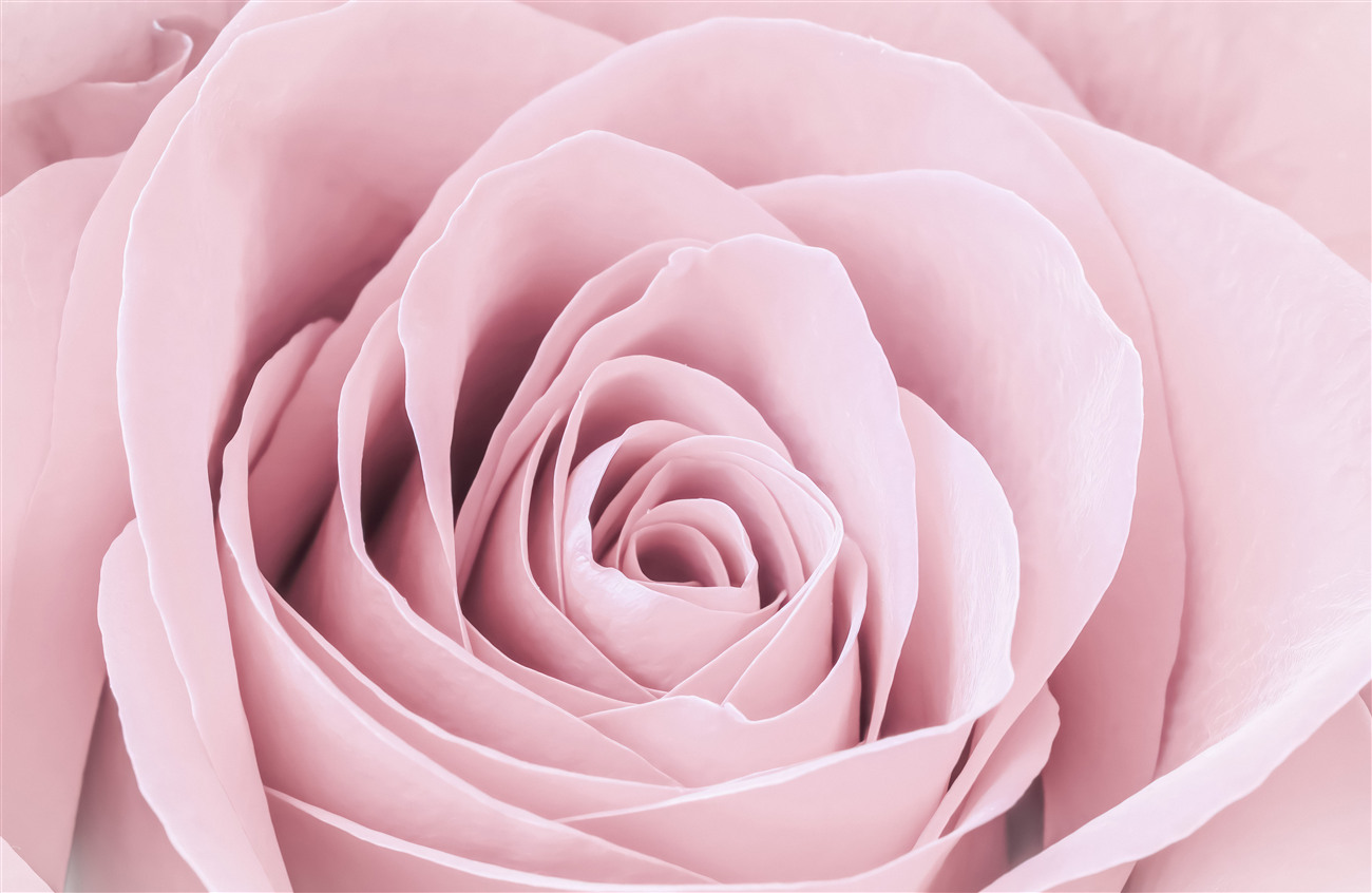 Last Product image